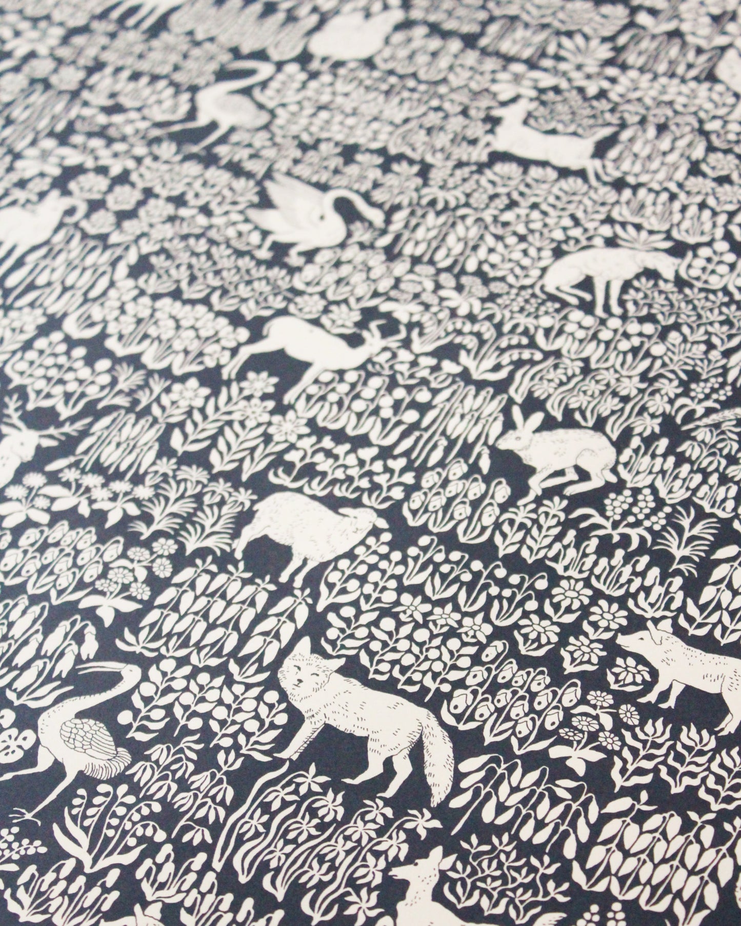Wrapping Paper - Wild Fields (PACK OF 6)