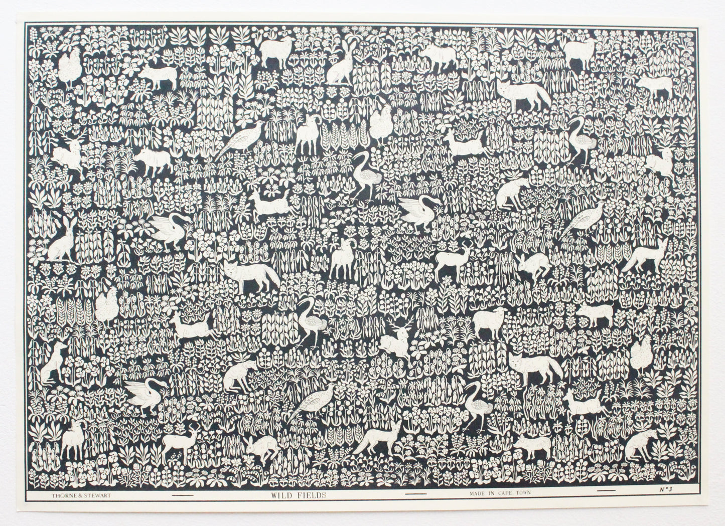 Wrapping Paper - Wild Fields (PACK OF 6)