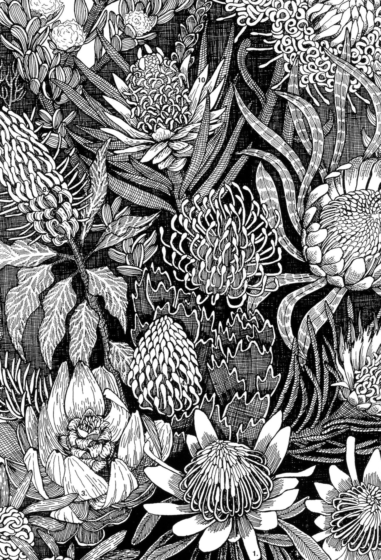 Art Prints